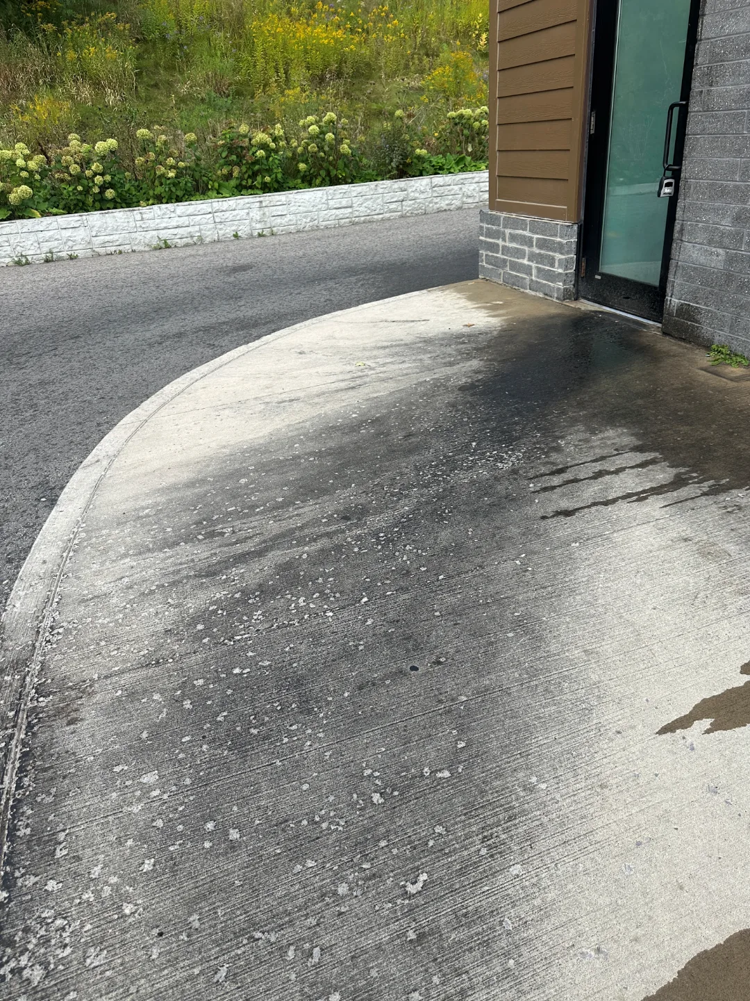 Entrance walkway, before cleaning