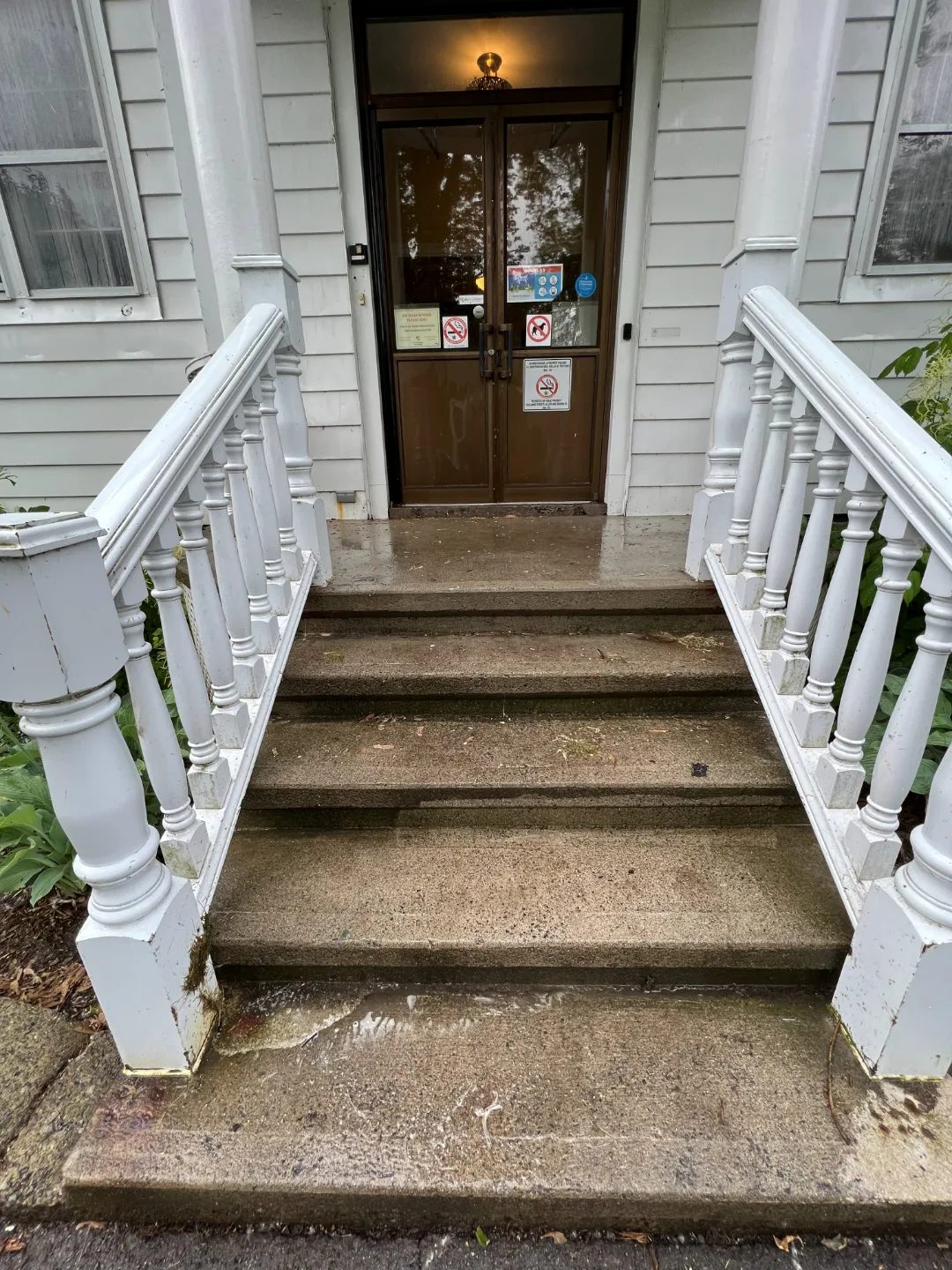 Front steps, before cleaning